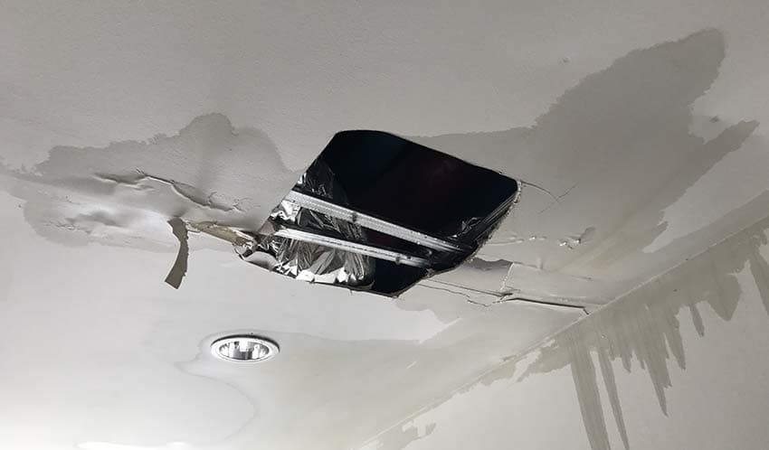 Does the Roof of Your Business Leak