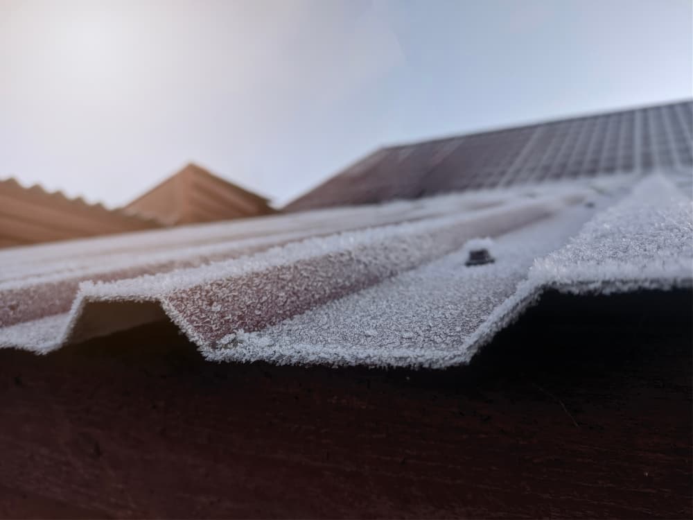 Warehouse Roof Repairs How To Spot Leaks Early And Avoid Shutdowns