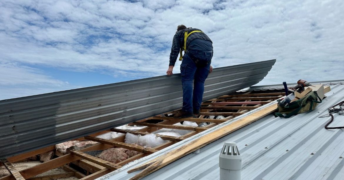 Man wearing a harness standing on the wooden battens of a timber framed roof structure with a piece of long run sheeting iron in his hands in the middle of a roof repair job