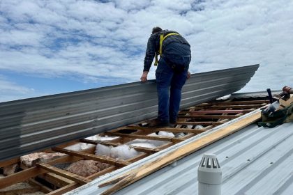Man wearing a harness standing on the wooden battens of a timber framed roof structure with a piece of long run sheeting iron in his hands in the middle of a roof repair job