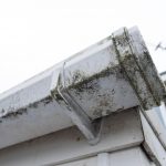 Can Metal Roofs Mould? 3